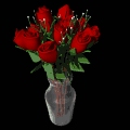 dozen_red_ro__vase_md_clrgif.jpg